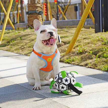 Jack | Duurzaam speelgoed voor honden | Veilig & interactief speelplezier