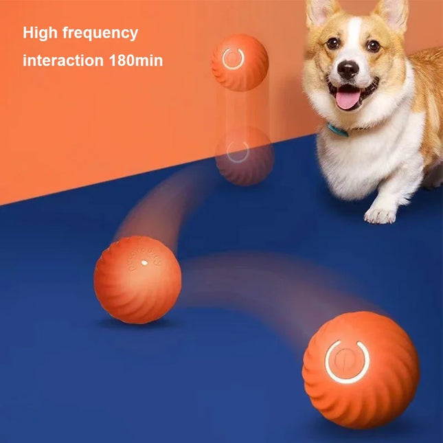 Interactieve Oplaadbare Huisdier Bal | Slimme Zwaartekracht Stuiterbal voor Kat en Hond | Automatische Rolfunctie