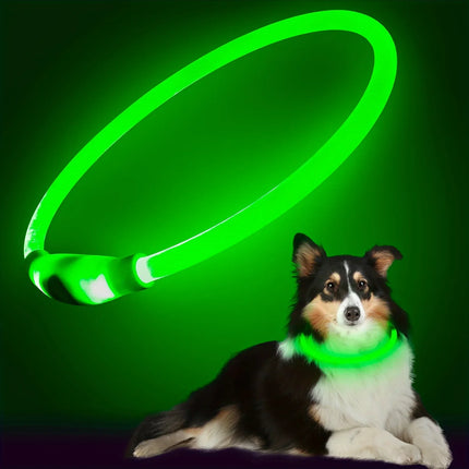GlowPaws | Oplaadbare LED Veiligheidshalsband voor Honden met Meerdere Lichtstanden | Weerbestendig