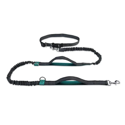 Verstelbare Handsfree Heupriem voor Hardlopen met Hond | Waterbestendig Nylon, Uittrekbaar & Reflecterend | Schokdempend met Dubbele Bungees en 360° Draaibare Clip