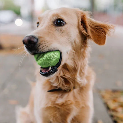 Automatische Interactieve Rollende Speelbal | Veilig en Oplaadbaar | Geschikt voor Actieve Honden