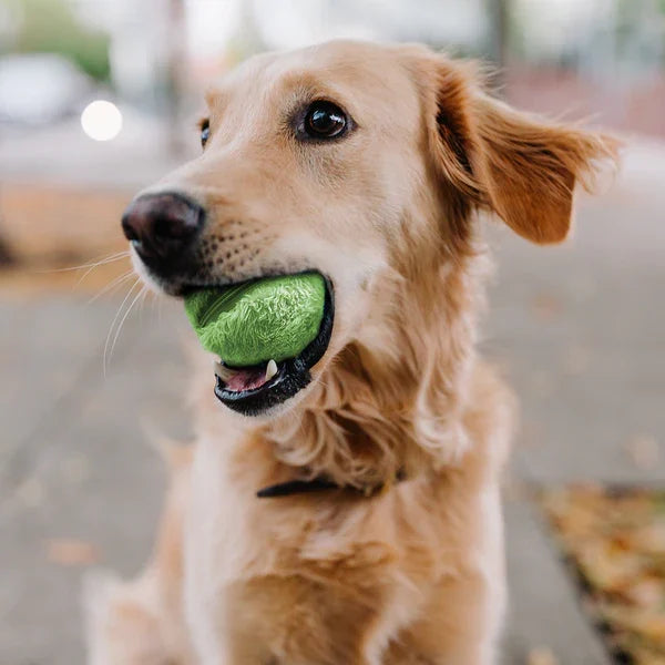 Automatische Interactieve Rollende Speelbal | Veilig en Oplaadbaar | Geschikt voor Actieve Honden