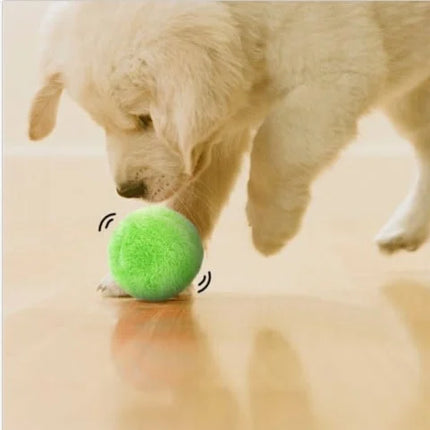 Automatische Interactieve Rollende Speelbal | Veilig en Oplaadbaar | Geschikt voor Actieve Honden