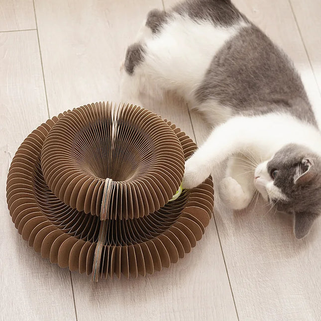 Magic Organ Krabplank Voor Katten | Interactief Speelgoed | Krab Mat | Kat Krabber | Katten Accessoires | Duurzaam Papieren Materiaal | Speciaal Ontwerp | Katten Speelgoed | Geen Gevaarlijke Stoffen