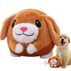 Hamster
