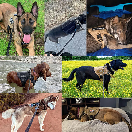 Tactische Hondentuig Set | Hondenharnas en Lijn | Afneembaar Gevoerd | Effen Nylon | Duitse Herder | Geschikt voor kleine honden