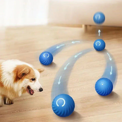 Interactieve Oplaadbare Huisdier Bal | Slimme Zwaartekracht Stuiterbal voor Kat en Hond | Automatische Rolfunctie