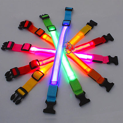 LED Verlichte Veiligheidshalsband voor Huisdieren | Oplaadbaar via USB, Waterbestendig, 3 Lichtmodi | Geschikt voor Honden en Katten