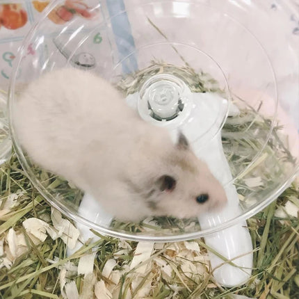 Draaischijf Hamsterwiel Geluidloos | Kunststof Speelgoed | Stalen As Hamstermolen | Kleine Dieren Accessoires | NoEnName_Null