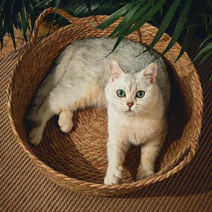 Ronde Rattan Mand | Ademend Huisdierenbed | Katten en Puppy's | Zomerkoel Bamboe Weefhuis | Comfortabel Slaaphol | Dierenvriendelijk ontwerp
