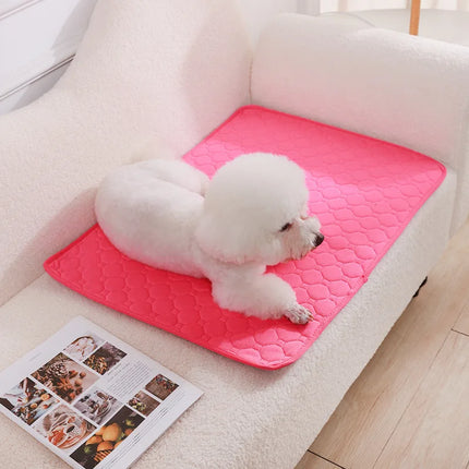 Herbruikbare Trainingsmat voor Honden | 4-laags Absorberend & Antislip Ontwerp | Geschikt voor Meubel- en Autobescherming | Machinewasbaar