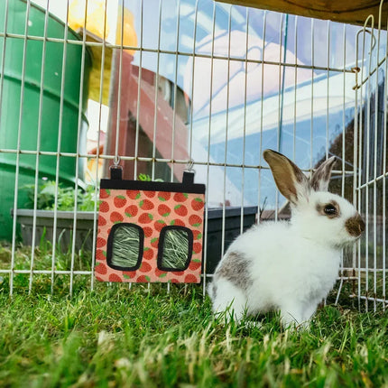 Hooizak voor kleine dieren | Hamster Konijn Cavia Voerhouder | Oxford Stof | Metalen Haak | Verspilling Verminderen | Kooihouder | Rood Groen Geel Oranje | Duurzame Kooivoeder Accessoires