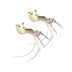 Alleen-wit-2Bird