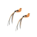 alleen-D-Bird