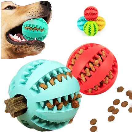 ChewPlay Interactieve Bal voor Honden | Bestand tegen Kauwen | Tandverzorging & Snackverstrekker | Veilig Natuurlijk Rubber
