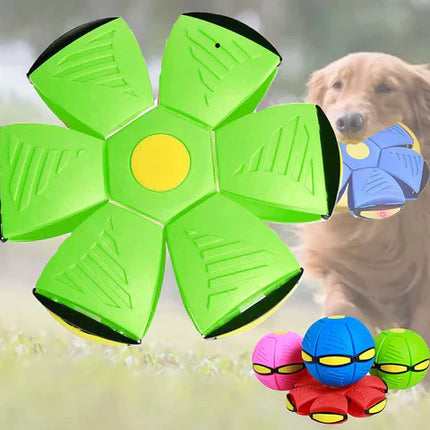 Milo | Opvouwbare Drijvende Bal en Frisbee voor Honden | Interactief Speelgoed