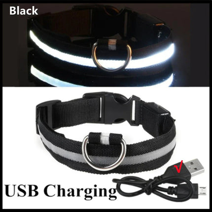 LED Verlichte Veiligheidshalsband voor Huisdieren | Oplaadbaar via USB, Waterbestendig, 3 Lichtmodi | Geschikt voor Honden en Katten