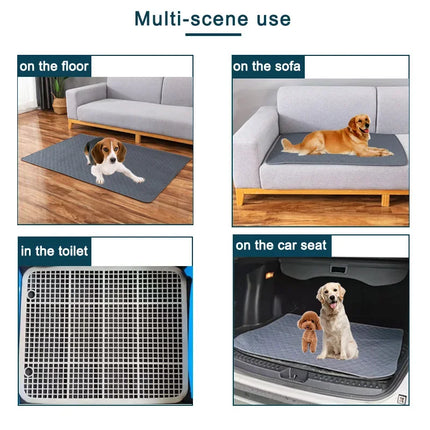 Herbruikbare Trainingsmat voor Honden | 4-laags Absorberend & Antislip Ontwerp | Geschikt voor Meubel- en Autobescherming | Machinewasbaar