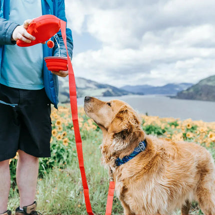 PawTrekker handsfree hondenuitlaatset | Met waterdispenser, afvalzakhouder en opbergvakje | Ideaal voor wandelen, trektochten en reizen