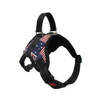 Amerikaanse vlagkleuren