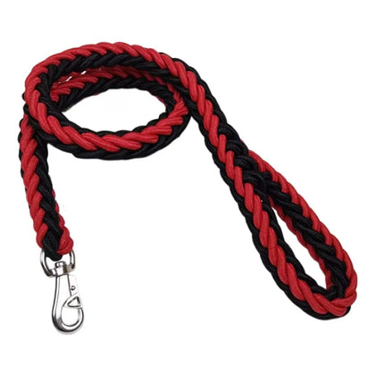 Sterke nylon hondenriem | Gevlochten touw met gesp | Alle seizoenen | Grote hondenriem voor bulldogs en rottweilers | Duurzaam en milieuvriendelijk | Geschikt voor wandelen, trainen en reizen