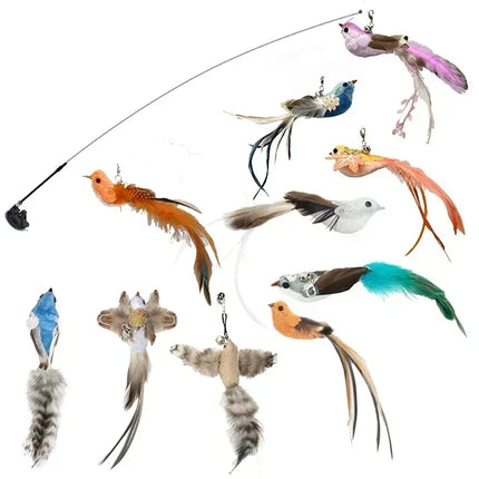 Kattenspeelgoed | Interactieve Pauwenpluim Met Bel | Kunststof Verenstok | Kattenstok | Speeltjes Voor Kittens En Katten | Huisdierbenodigdheden | Veilig En Duurzaam | Simulatie Vogelmotief | Indoor Plezier