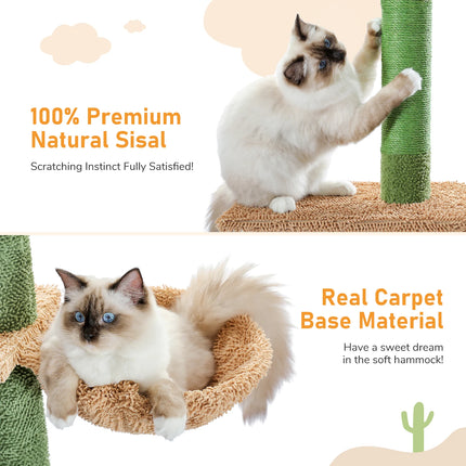 Kratspaal voor Katten | 5-Laagse Klimtoren tot Plafond | Cactusvormig Design | Krabpalen | Hangmat & Speelbal | PETEPELA