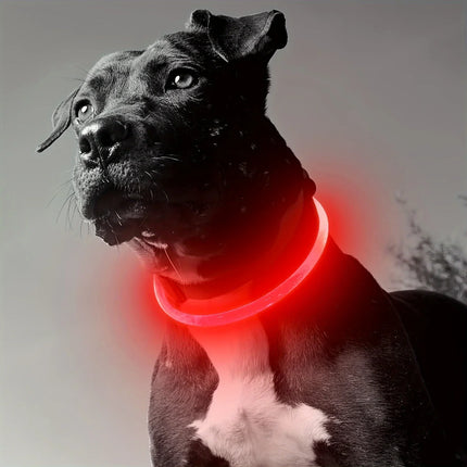 GlowPaws | Oplaadbare LED Veiligheidshalsband voor Honden met Meerdere Lichtstanden | Weerbestendig