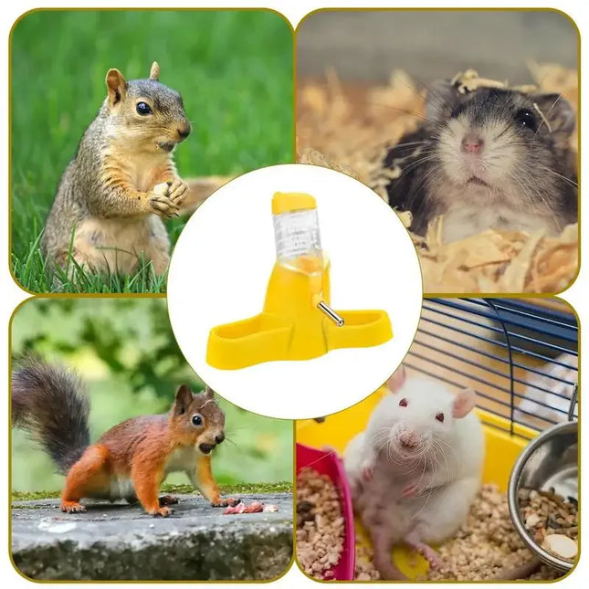 Hamster Waterdispenser | Kleine Dierkooi Accessoires | Automatische Drinkfles PP Materiaal | Lichtgewicht en Lekvrij | Geschikt voor Eekhoorns, Egels, Cavia's | Modern en Transparant Design