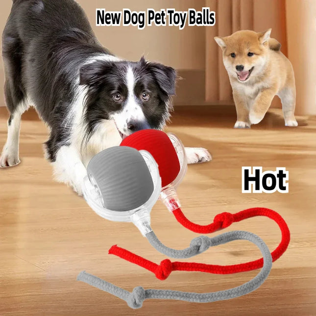Interactieve Speelbal voor Katten en Honden | Automatisch en Oplaadbaar met Obstakelontwijking | Duurzaam en Geluidloos Design