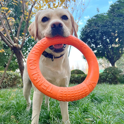 Interactieve Vliegende Schijf voor Honden | Duurzaam EVA-Materiaal, Flexibel & Bijtbestendig | Verschillende Kleuren & Maten