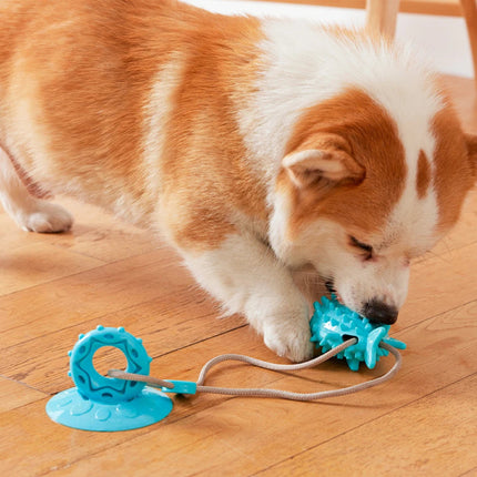 Interactief Honden Speelgoed | Zuignap Traktatiehouder | Stevig en Veiliger | Bevordert Mondgezondheid | Voor Energieke Honden