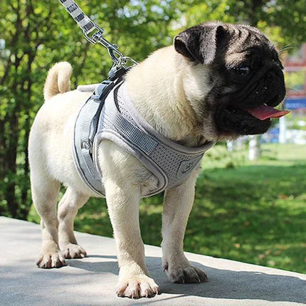 Effosola Hondenharnas | Instelbaar Gewatteerd Vest | Mesh Materiaal | Lijnen met Trektouw | Geschikt voor Puppy's | Effen Kleuren | Alle Seizoenen | Duurzaam Fiber | Veilig voor Honden en Katten