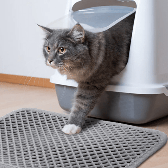 PetPurity Honingraat Kattenbakmat | Antislip EVA mat voor kattenbak | Vangt kattenbakvulling op | Waterdicht | Makkelijk schoon te maken | Diverse maten en en