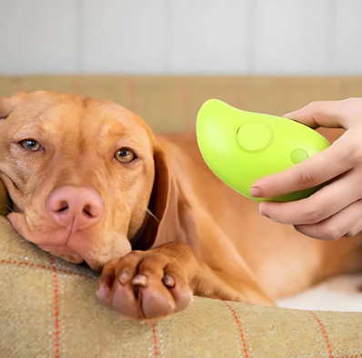 SteamBrush™ voor Huisdieren | Hydraterende Vachtverzorging met Stoom en Massage | Verminder Stress en Versterk de Band
