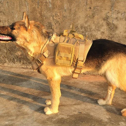 Tactisch Hondentuig met Zakken en Riem voor Training en Buitengebruik