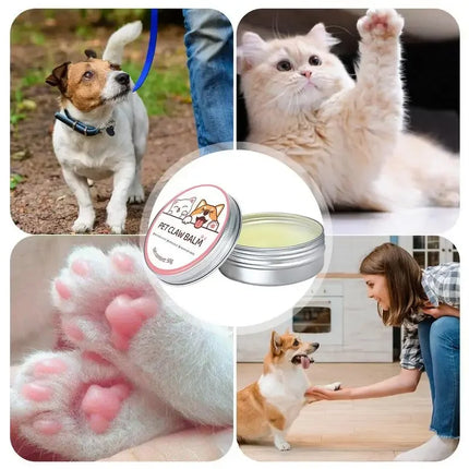 Pawfect Care | Voedende Balsem voor Neuzen en Poten van Huisdieren | Geschikt voor Honden en Katten | Weerbestendig | 50g
