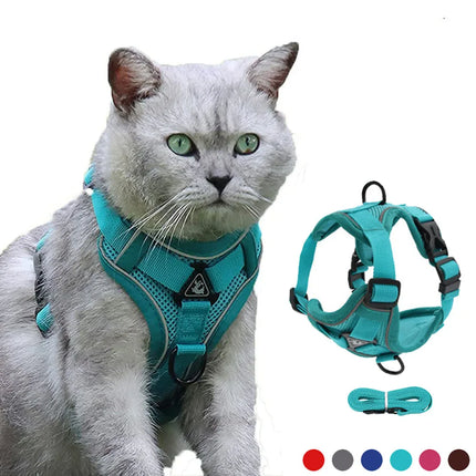 PawSecure | Veilig en Comfortabel Buitenharnas voor Honden en Katten | Reflecterend en Ademend Mesh | Verschillende Maten en Kleuren