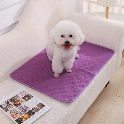 Herbruikbare Trainingsmat voor Honden | 4-laags Absorberend & Antislip Ontwerp | Geschikt voor Meubel- en Autobescherming | Machinewasbaar
