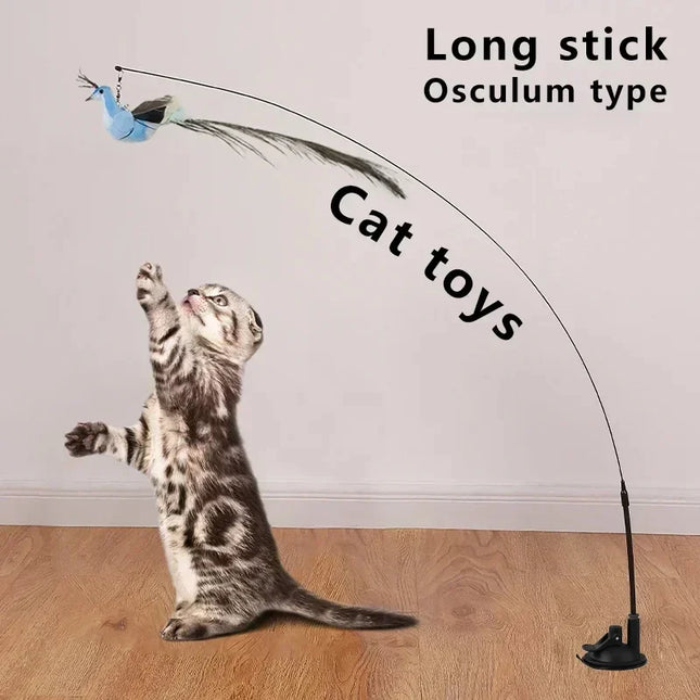 Kattenspeelgoed | Interactieve Pauwenpluim Met Bel | Kunststof Verenstok | Kattenstok | Speeltjes Voor Kittens En Katten | Huisdierbenodigdheden | Veilig En Duurzaam | Simulatie Vogelmotief | Indoor Plezier
