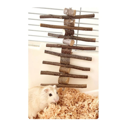 Hamster En Knaagdieren Speelgoed | Molar Knabbelstokken Hout | Appelhout Bijtspeelgoed | Natuurlijke Tandenverzorging | Geschikt Voor Hamsters Gerbils Eekhoorns | Slijptanden Speelgoed | China Product