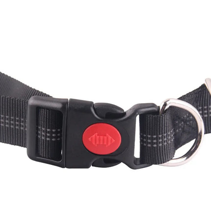 Handsfree Hondenriem voor Joggen en Wandelen | Verstelbare Heupriem en Uittrekbaar Nylon met Reflecterende Strepen