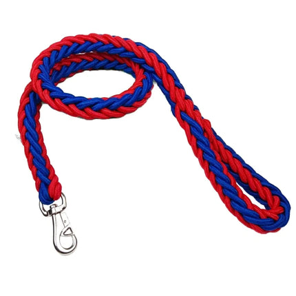 Sterke nylon hondenriem | Gevlochten touw met gesp | Alle seizoenen | Grote hondenriem voor bulldogs en rottweilers | Duurzaam en milieuvriendelijk | Geschikt voor wandelen, trainen en reizen