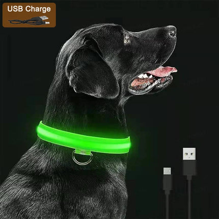 LED Verlichte Veiligheidshalsband voor Huisdieren | Oplaadbaar via USB, Waterbestendig, 3 Lichtmodi | Geschikt voor Honden en Katten
