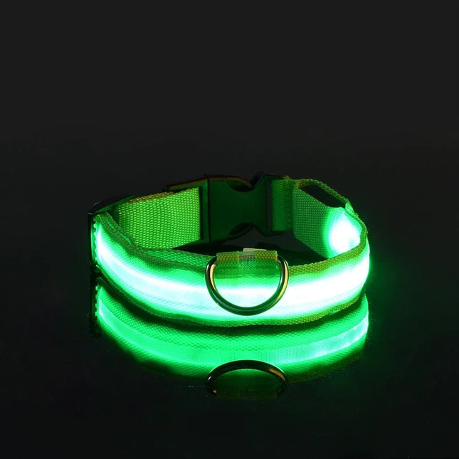 GlowBuddy Verstelbare Nylon Halsband met LED-verlichting | Veilig en Reflecterend voor Honden tijdens Nachtelijke Wandelingen