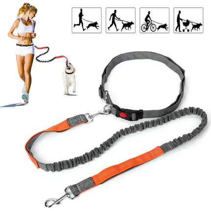 Handsfree Hondenriem voor Joggen en Wandelen | Verstelbare Heupriem en Uittrekbaar Nylon met Reflecterende Strepen