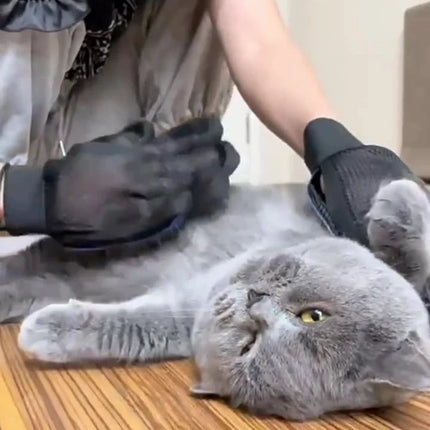 Siliconen Verzorgingshandschoenen voor Honden en Katten | Massage en Haarverwijdering | Ademend en Met Verstelbare Klittenbandsluiting | Beschikbaar in Rood, Groen, Blauw