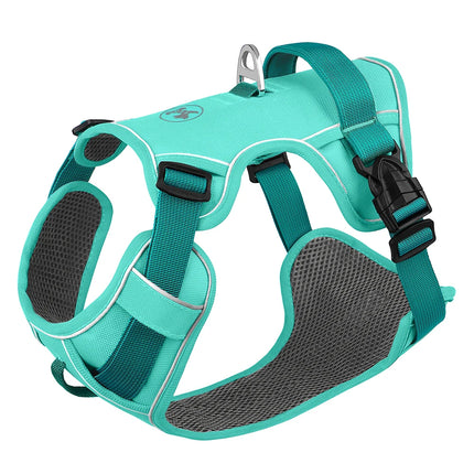 Didog Hondentuig Ademend Mesh Nylon | Reflecterend Duurzaam Verstelbaar | Roze/Oranje/Blauw | Geschikt voor Kleine Middelgrote Grote Honden | Voor Training en Wandelen | Alle Seizoenen