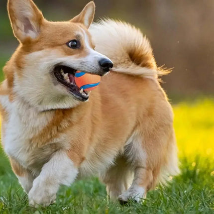 Onbreekbare Speelbal voor Honden | Veilig en Duurzaam | Geschikt voor Apporteren, Kauwen | Voor alle Grootte Honden | Makkelijk Schoon te Maken