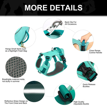 Didog Hondentuig Ademend Mesh Nylon | Reflecterend Duurzaam Verstelbaar | Roze/Oranje/Blauw | Geschikt voor Kleine Middelgrote Grote Honden | Voor Training en Wandelen | Alle Seizoenen